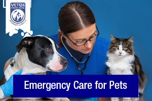 emergency care for pets