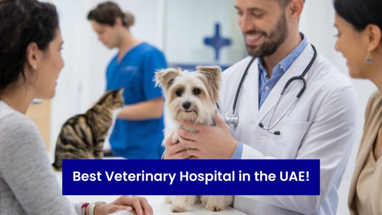 best vet hospital in uae images
