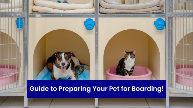 Ultimate Guide to Preparing Your Pet for Boarding