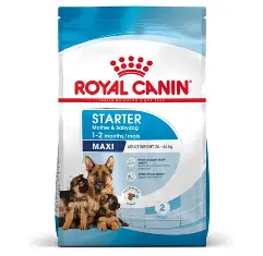 Dog Dry Food 3182550778770 Royal Canin Maxi Starter Mother & Baby Dog Dry Food 4 KG