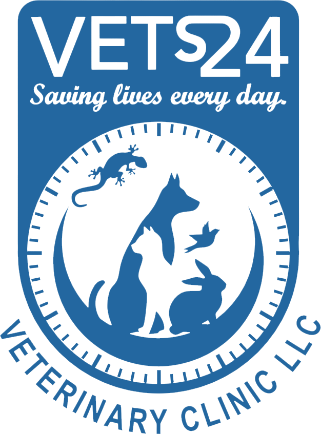 VETs24.ae