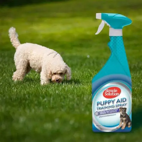 Simple Solution Training Puppy Aid Training Spray 500ml