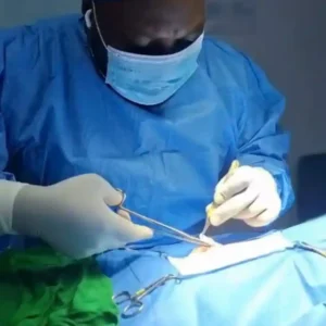 Emergency Vet Clinic