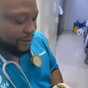 professional pet care