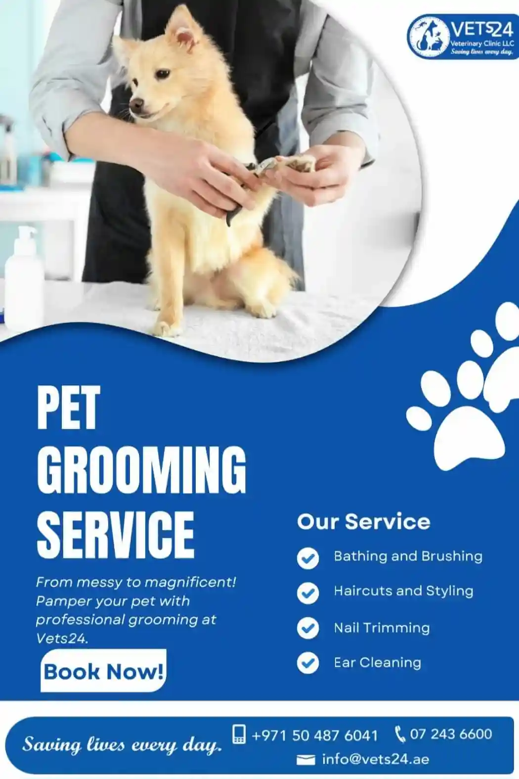vet-clinic-fujairah-vets24
