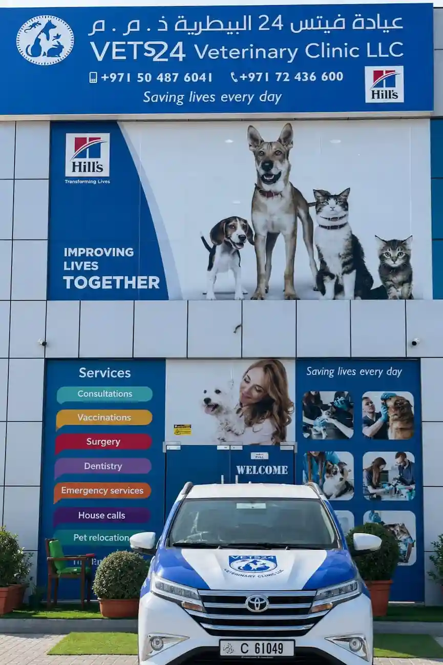 vet-clinic-ras-al-khaimah-vets24