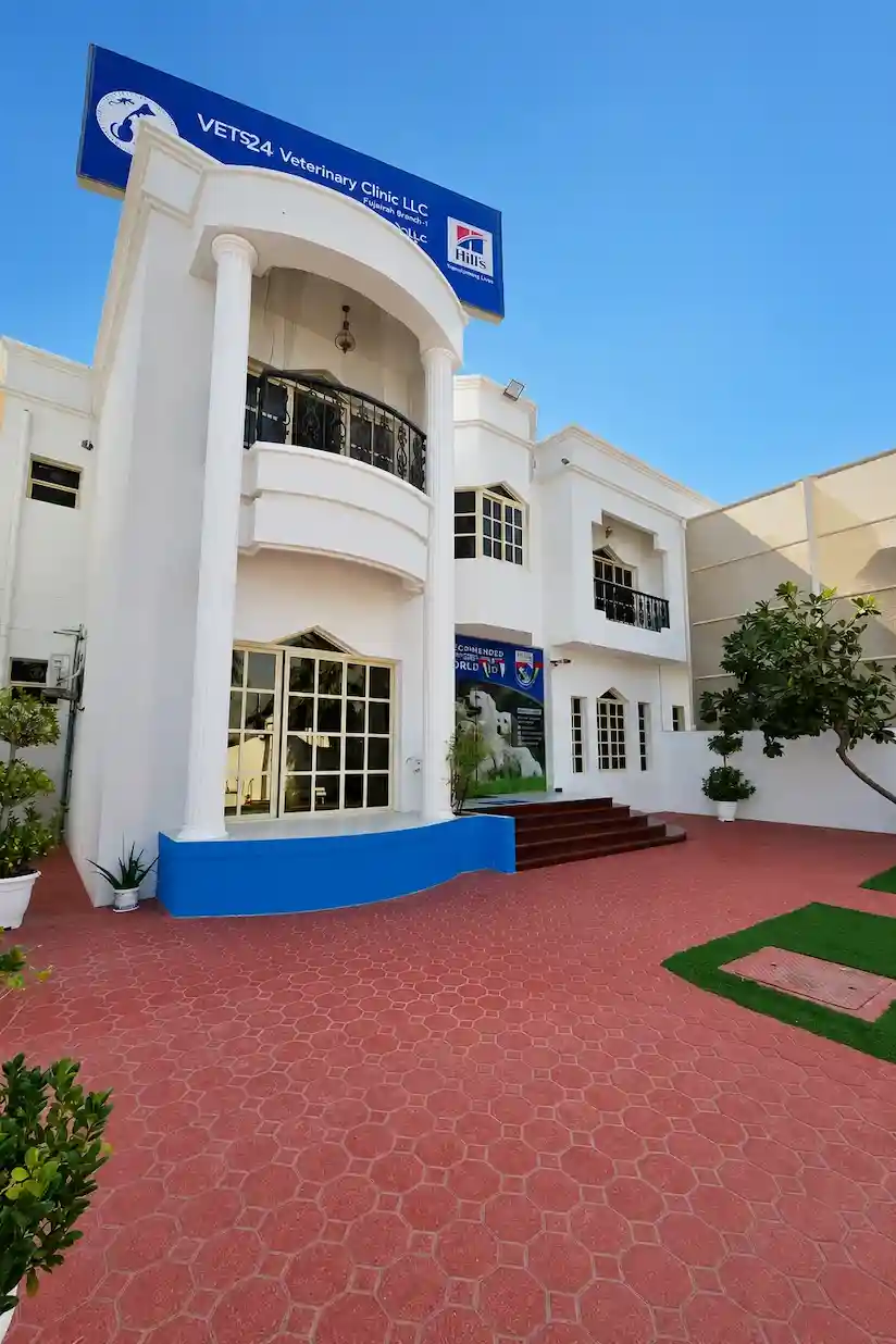 veterinary-clinic-fujairah